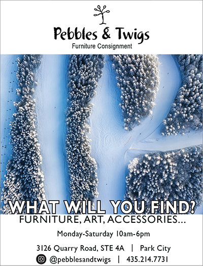 Pebbles & Twigs Consignment Furniture